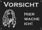 Preview: Aluminium Warnschild Afghanischer Windhund VORSICHT Hier wache ich!